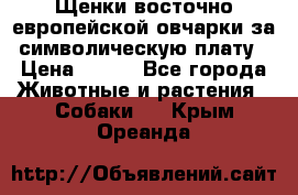 Щенки восточно европейской овчарки за символическую плату › Цена ­ 250 - Все города Животные и растения » Собаки   . Крым,Ореанда